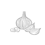 蒜