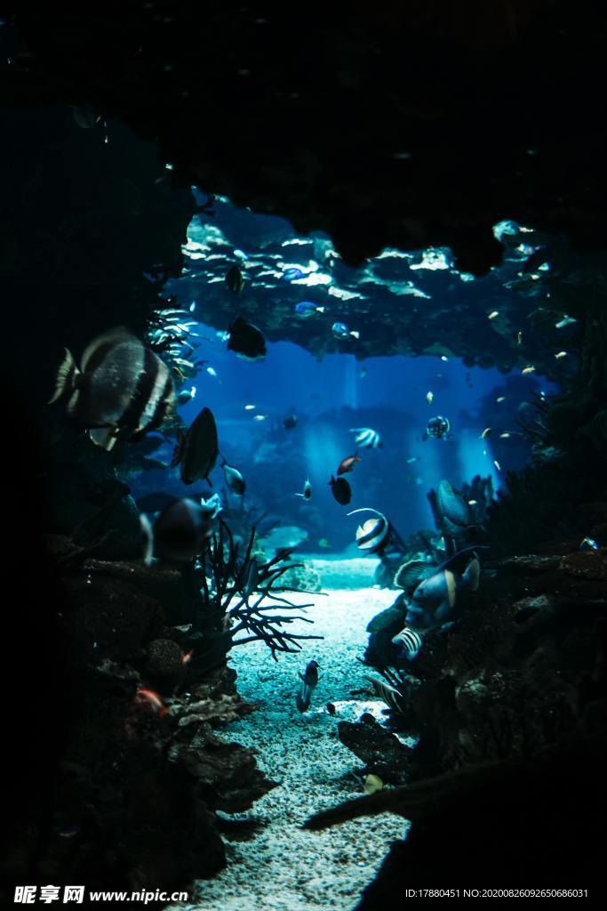 海底