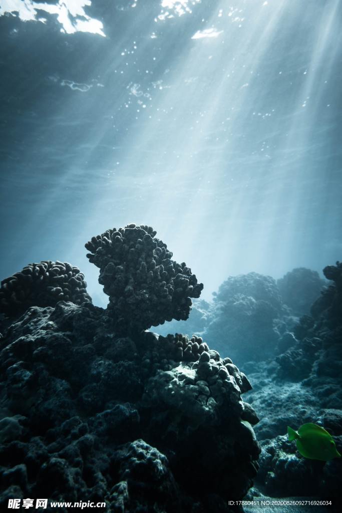 海底