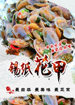 锡纸花甲