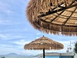 夏日沙滩图片