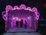 花灯灯会