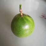绿色百香果