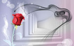 玫瑰 走廊 花卉背景墙