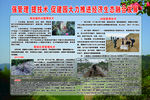 专业化果园管理种植技术知识