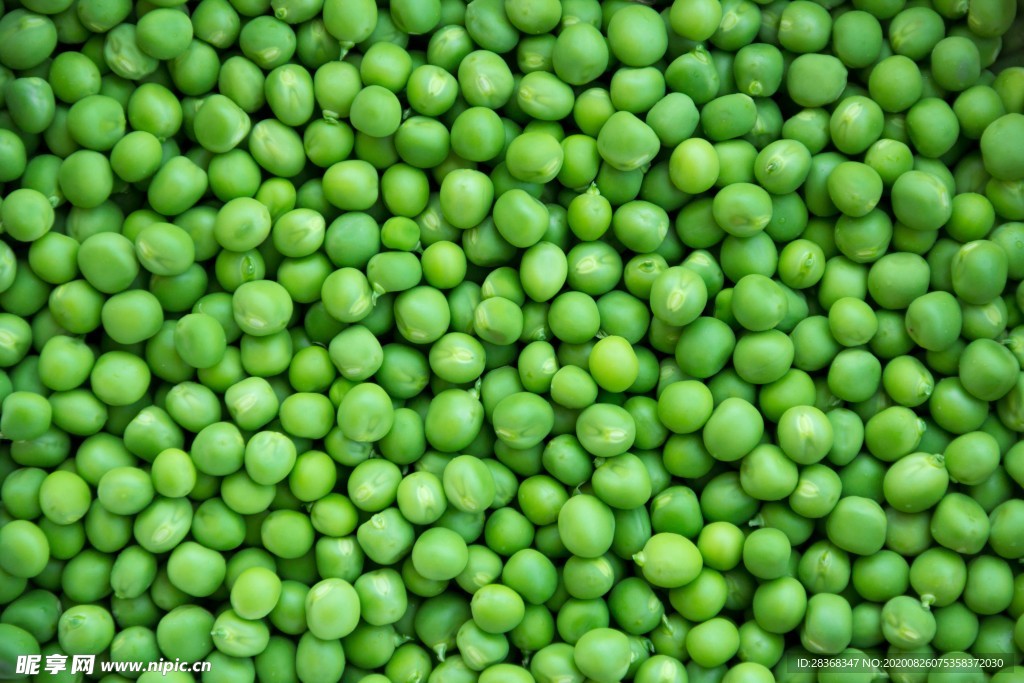 豌豆荚