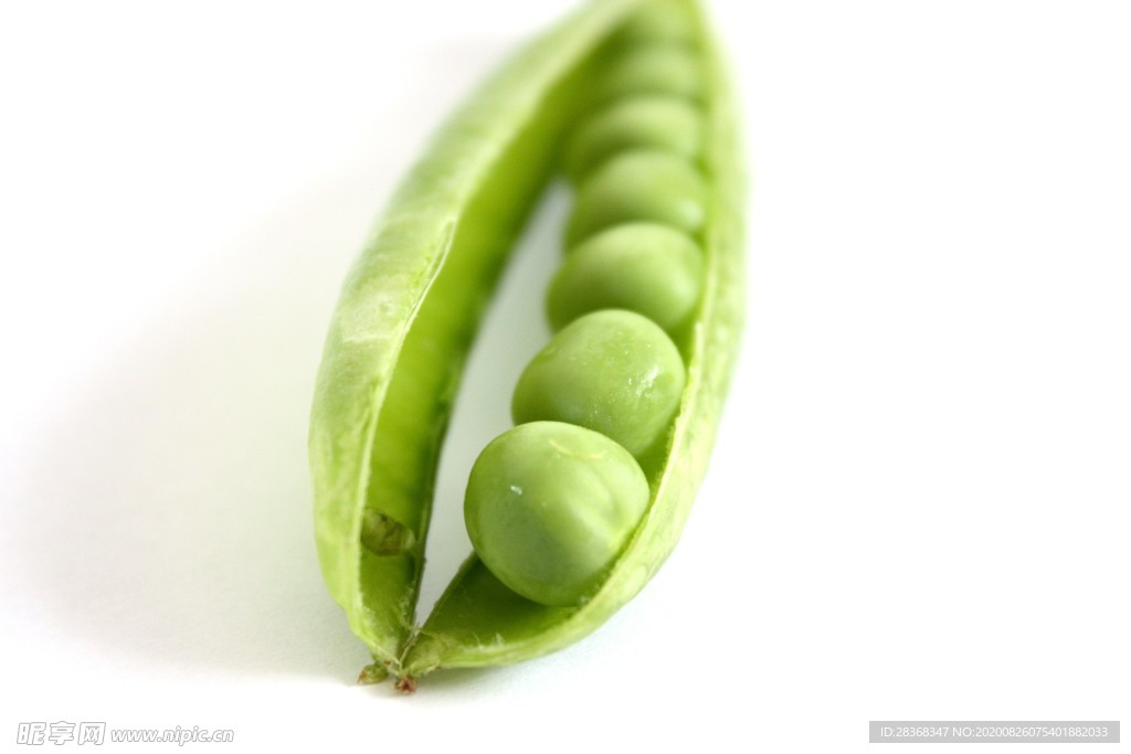 豌豆荚