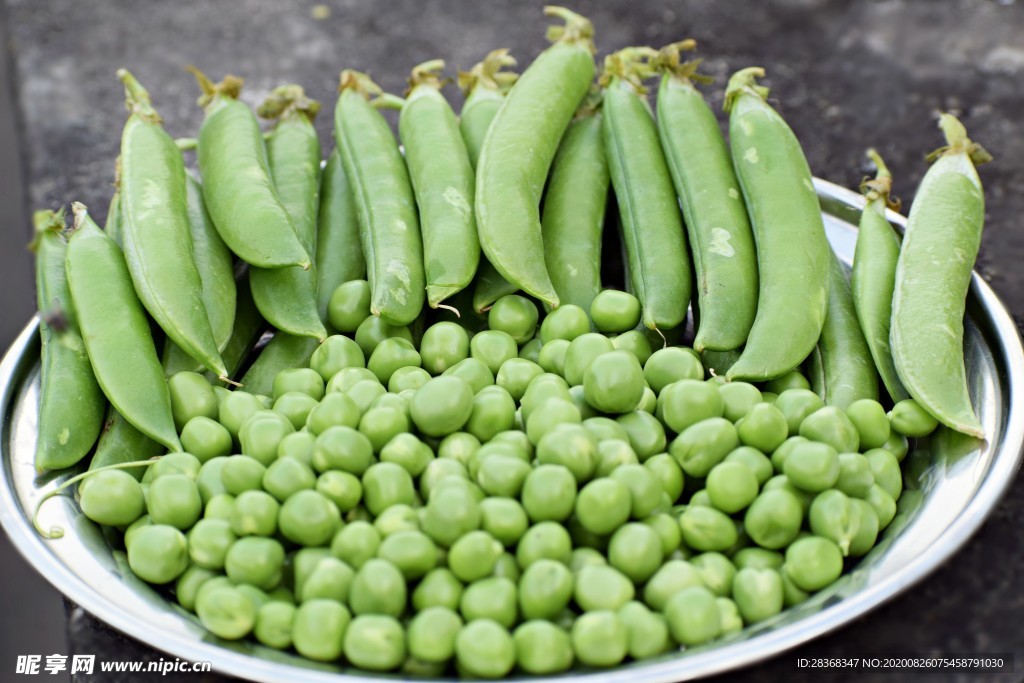 豌豆荚