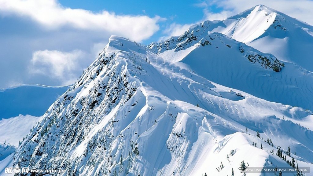 风景
