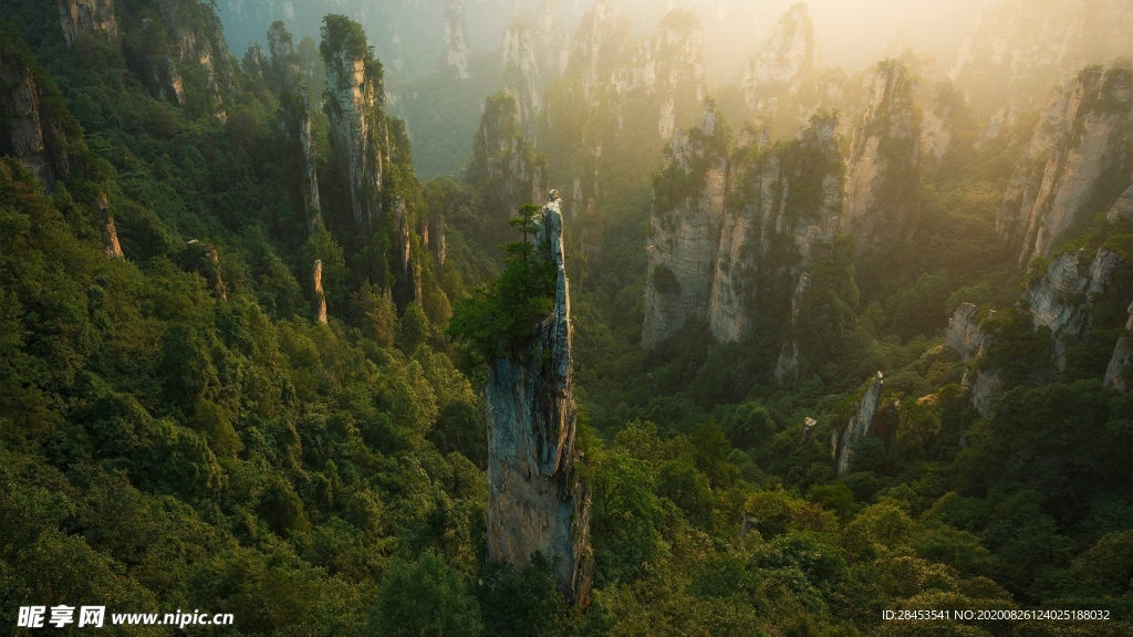 风景