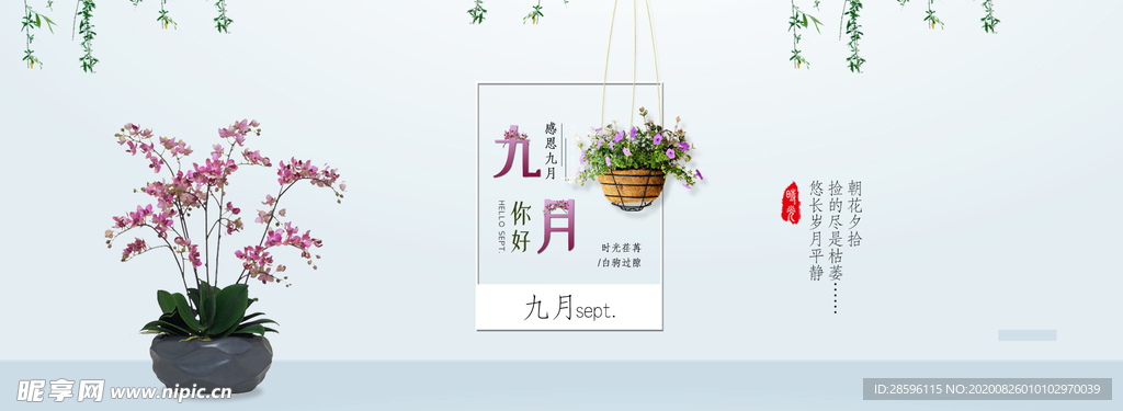 九月你好