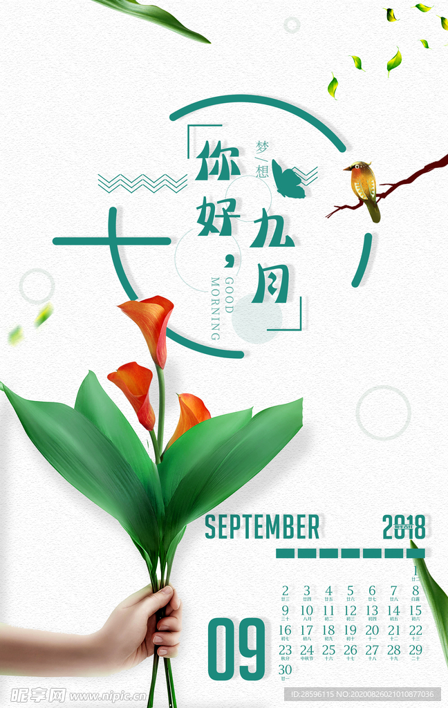 九月你好