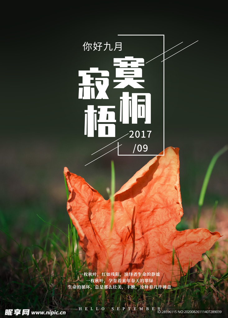 九月你好