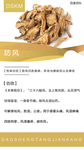 防风