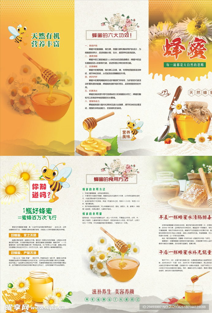 三折页模板