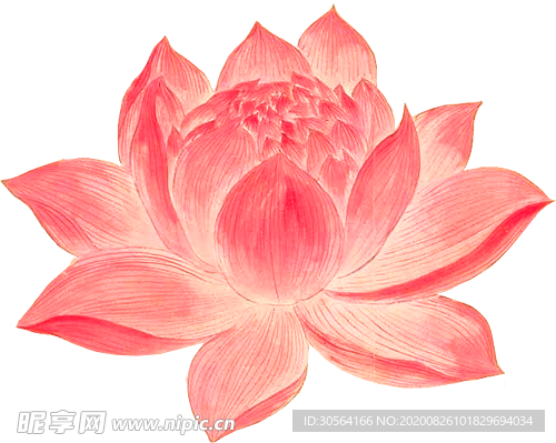 莲花复古古风海报素材