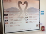 衣柜效果图