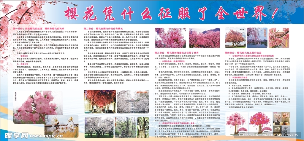 樱花展板