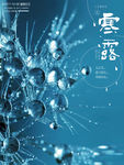 寒露海报