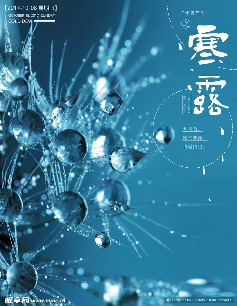 寒露海报