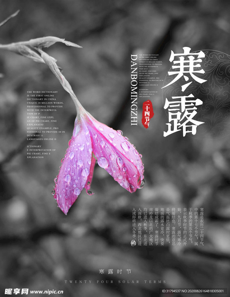 寒露海报
