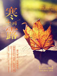 寒露海报