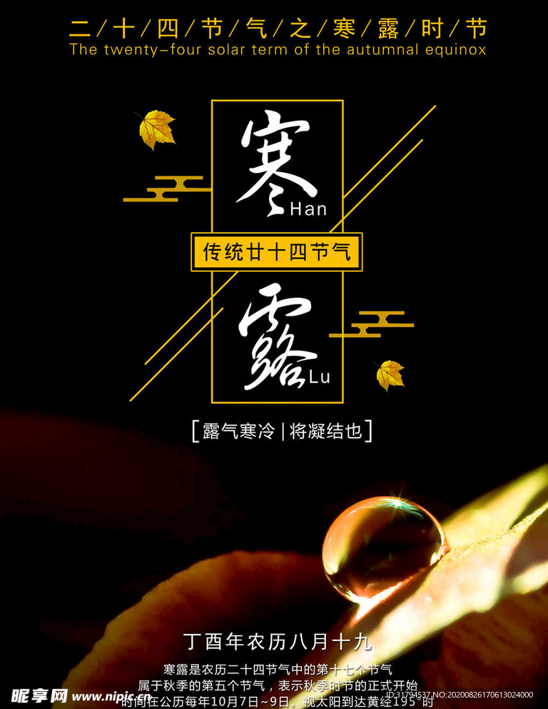 寒露海报