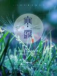 寒露海报