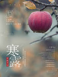 寒露海报