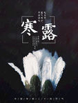 寒露海报