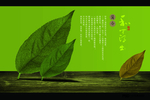 自然雅致清新茶叶简介海报