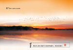 大气唯美夕阳风景文案宣传海报