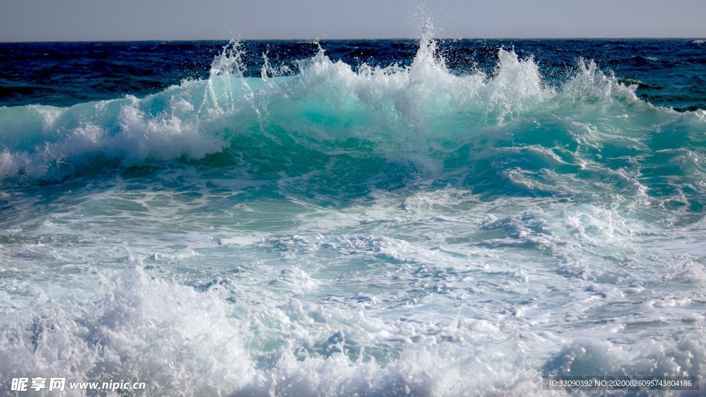 海洋