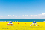 青海湖帐篷花海高原风光