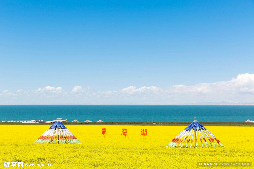 青海湖帐篷花海高原风光