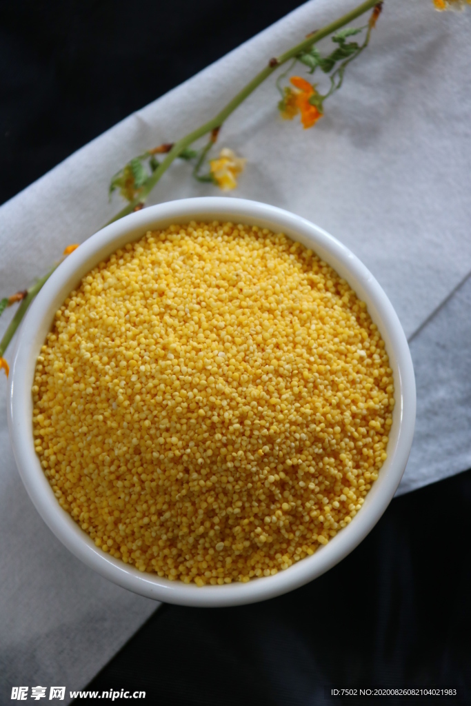 玉米渣  玉米糁 玉米 特产