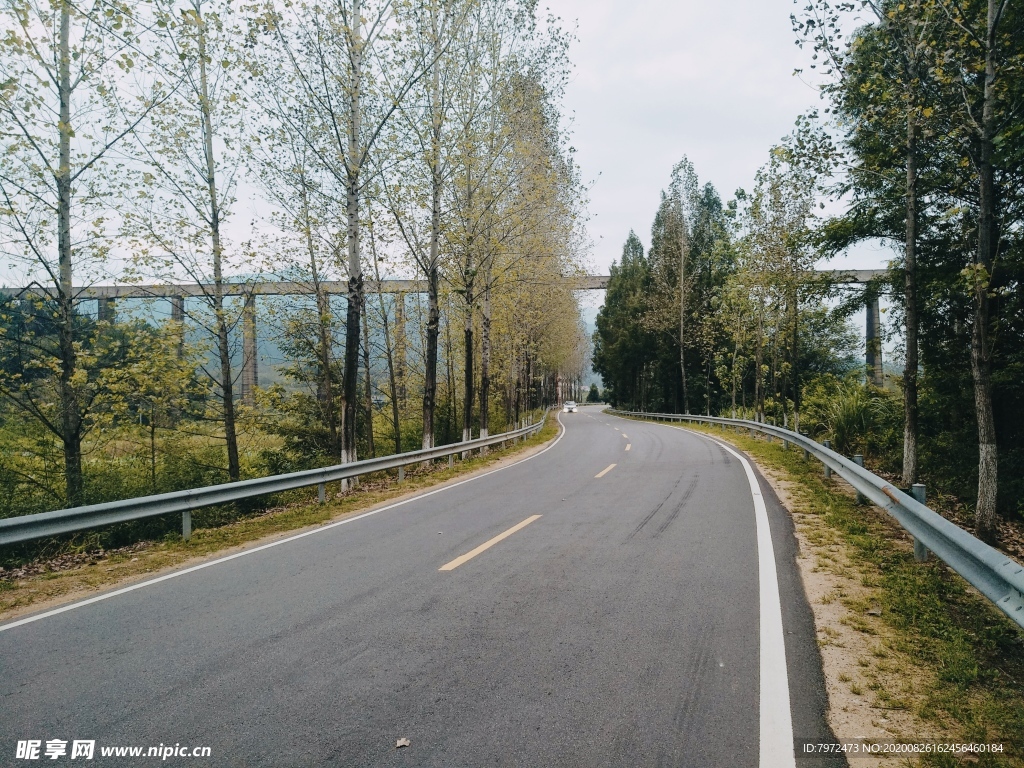 道路