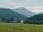 乡村