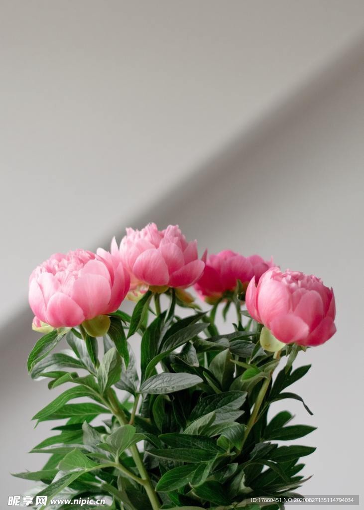 插花