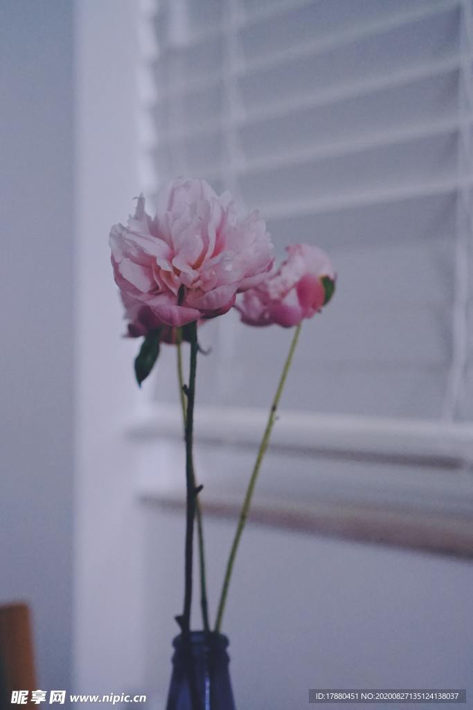 插花