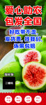 无花果展架