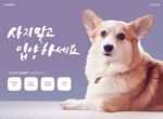 小狗海报