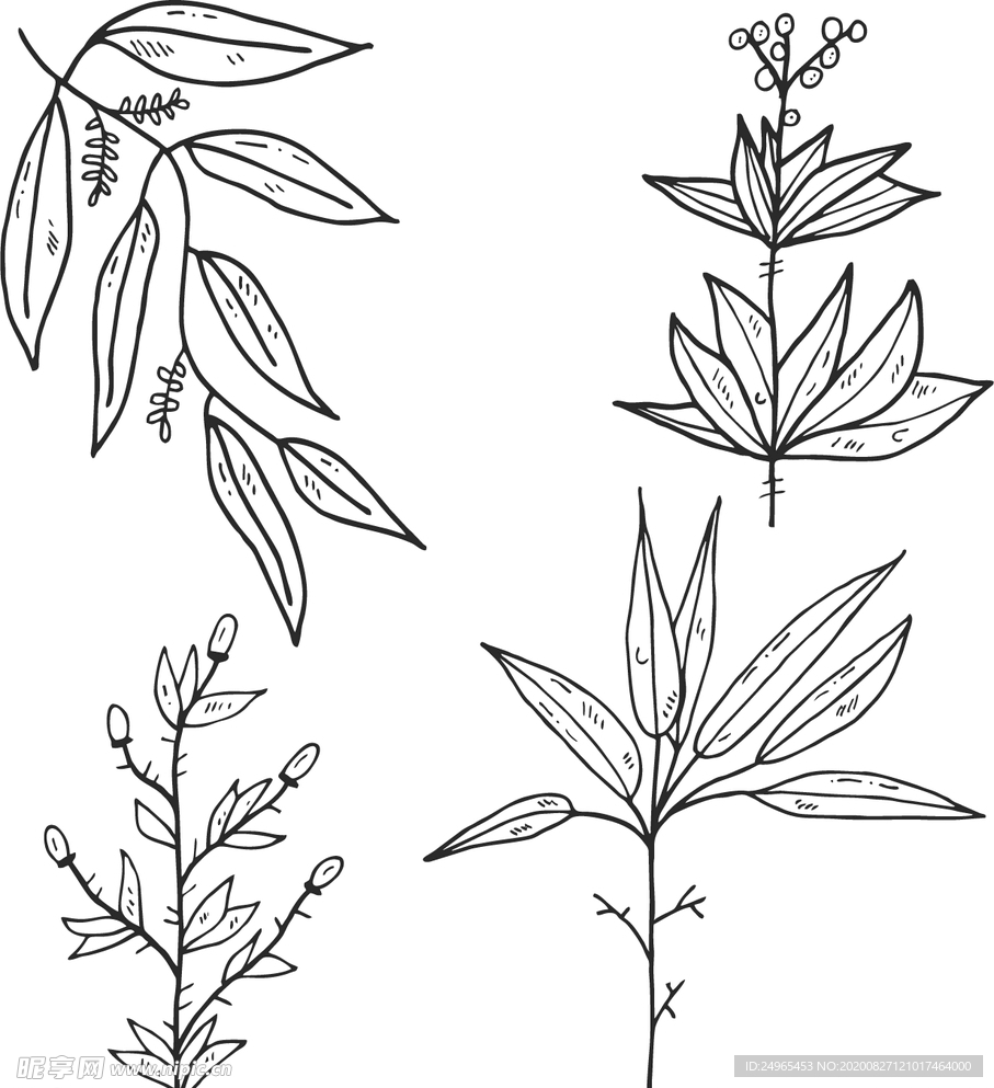 植物树叶线稿
