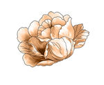 手绘花