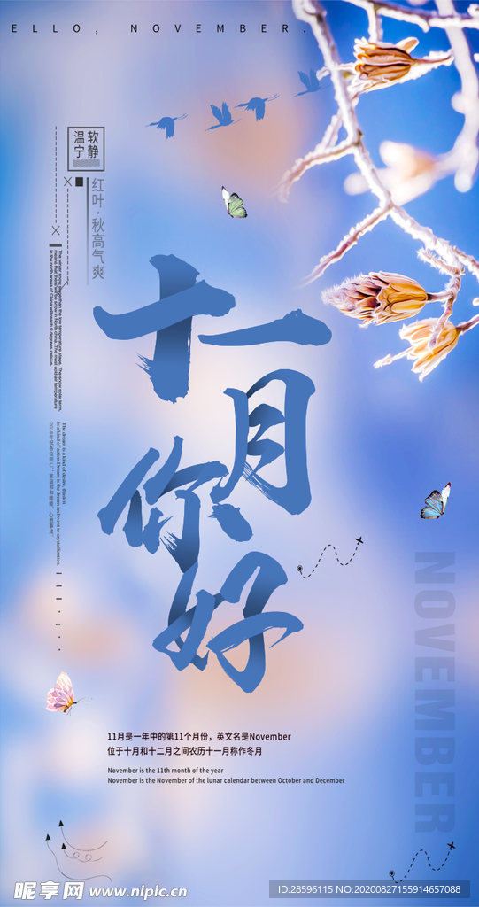 十二月你好