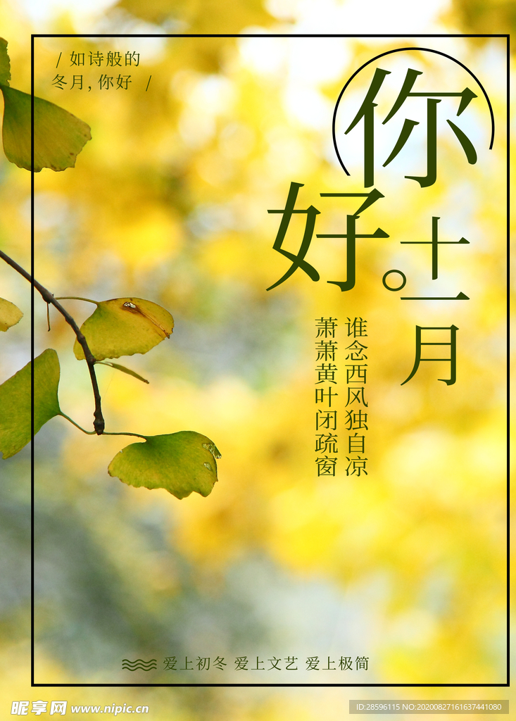 十二月你好