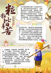 珍惜粮食小报