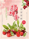杨梅海报