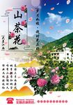 江西山茶花宣传海报