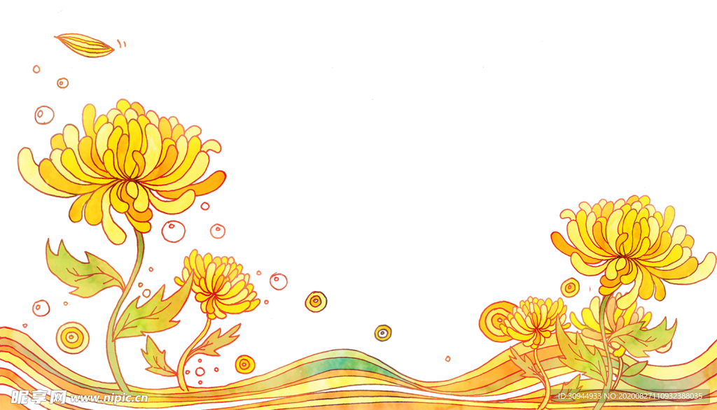 菊花素材